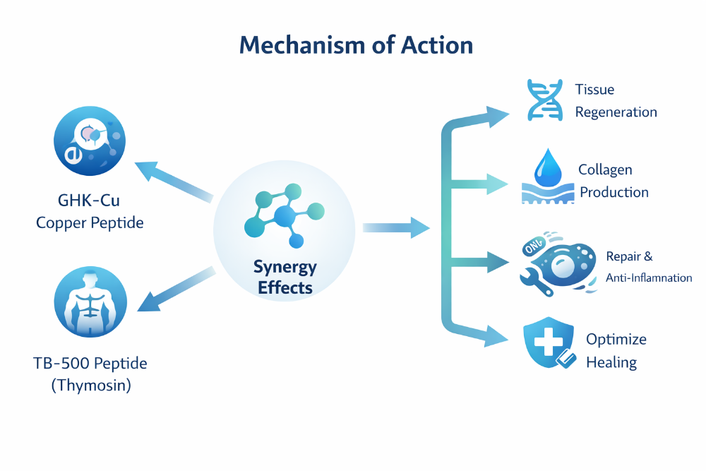 Mechanism diagram showing synergy between GHK-Cu, BPC-157 and TB-500 in the GLOW protocol