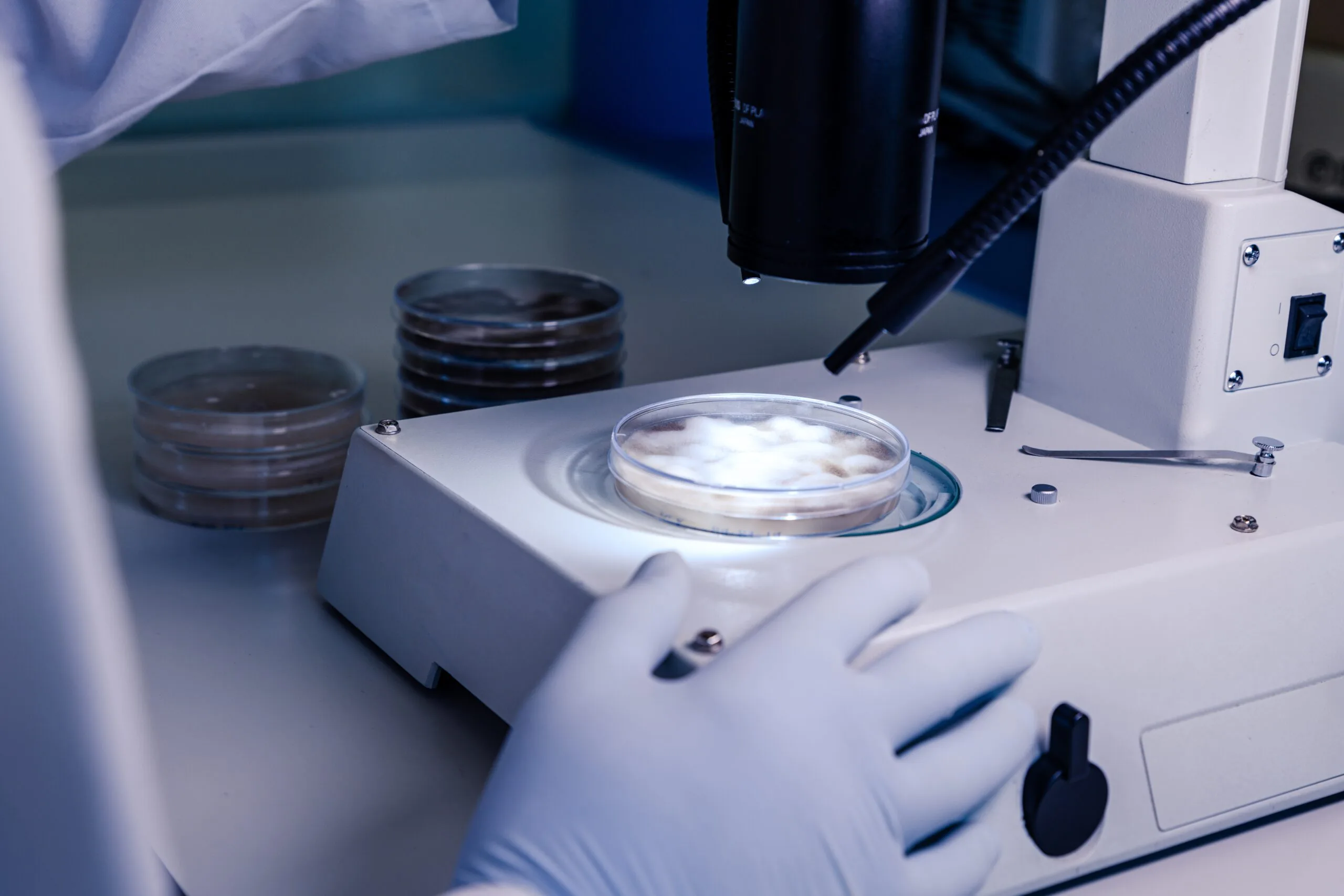 Melanotan II Research: Quality Checks, Handling, And Repeatable Prep - CorevionRx | High-Purity Research Peptides Melanotan II Research: Quality Checks, Handling, And Repeatable Prep - CorevionRx | High-Purity Research Peptides