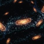 MOTS-c Research Guide: Mitochondrial-Derived Peptide, AMPK & Metabolic Research